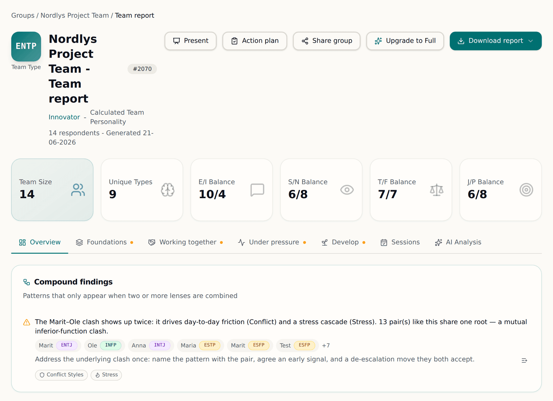 Team report overview showing calculated team type, preference balance and type distribution for a fourteen-person team
